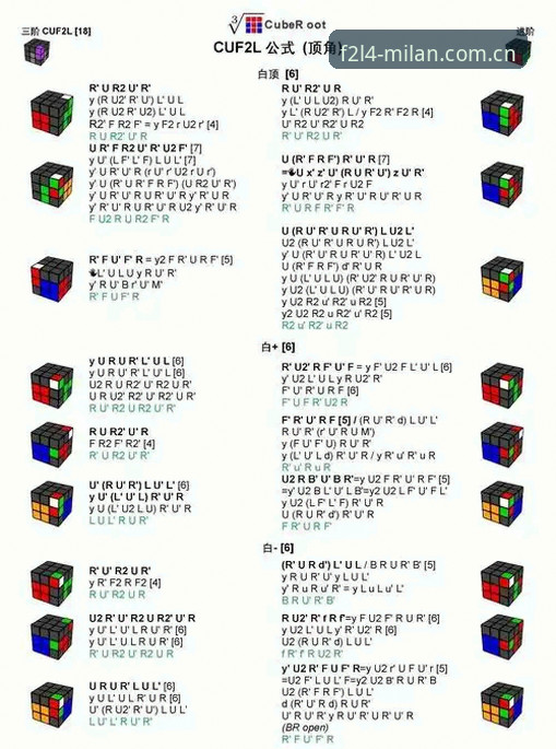 米兰体育平台2025新版获取指南：从F2L4修复到v2.3更新的完整解读